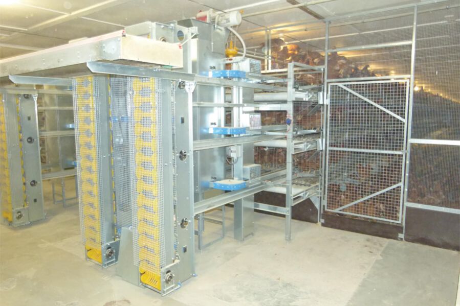 Open Aviary